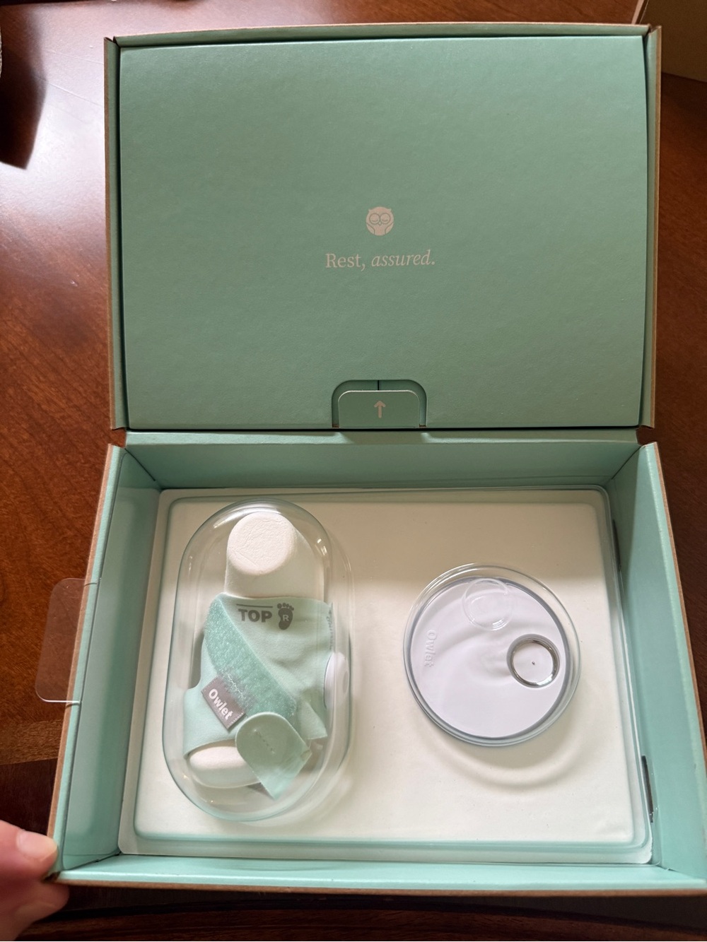 EUC Owlet Sock